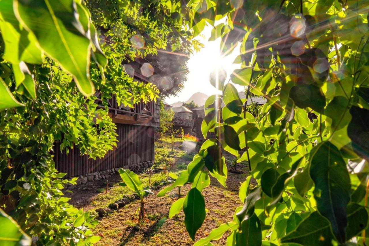 Jungle Bay Dominica Hotel Soufriere Екстериор снимка